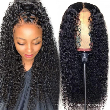 HD Lace Full Virgin Brazilian Human Hair Wigs Water Wave Curly Transparent Lace Front Wigs for Black Women
